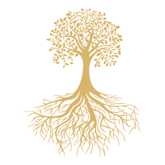 Zen Financial Services logo